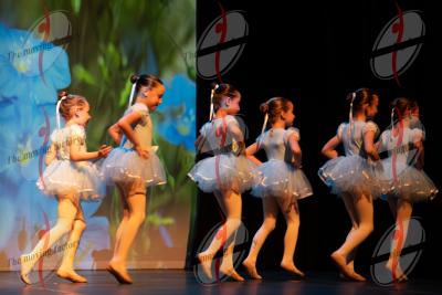 SHOW_02009.jpg